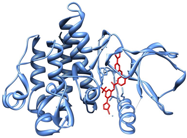 computer model of a chemical compound fitting a target compound