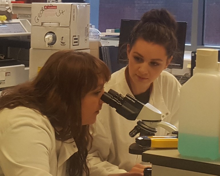 Some of the tissue bank team examine samples under a microscope