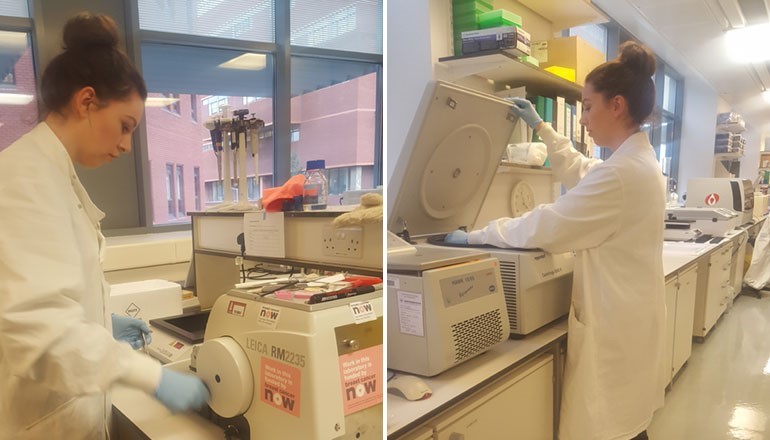 One of Angie’s team uses a machine called a microtome to slice the samples; One of Angie's team spins samples in the centrifuge 